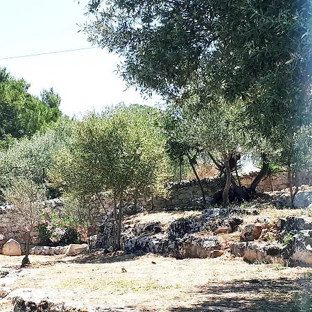 Farmház Serrafiori Casa Serrafiori