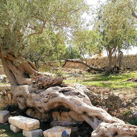 Serrafiori Farmház